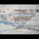 Ottawa artist - Heather Ballantyne