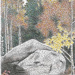 Ottawa artist - Jeff Weibe