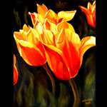 Ottawa artist - Manju Sah